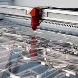 Plexiglas Lasersnijden
